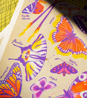 Butterflies A3 Poster - Manon Bucciarelli