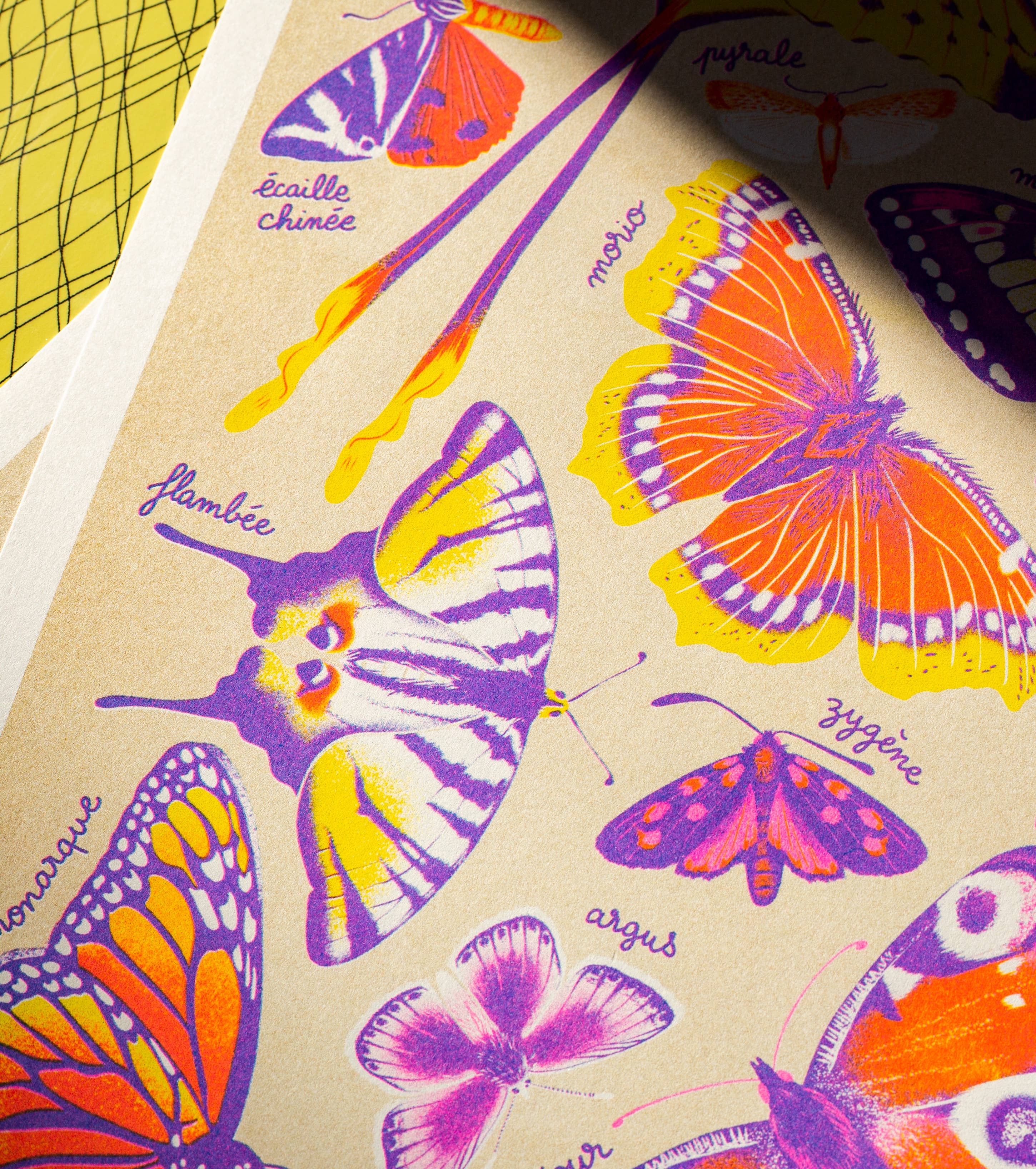 Butterflies A3 Poster - Manon Bucciarelli