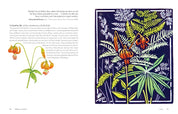 Wildflowers of the West: An Artist's Guide