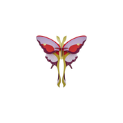 Lilac Comet Butterfly - 3D DIY Craft Kit