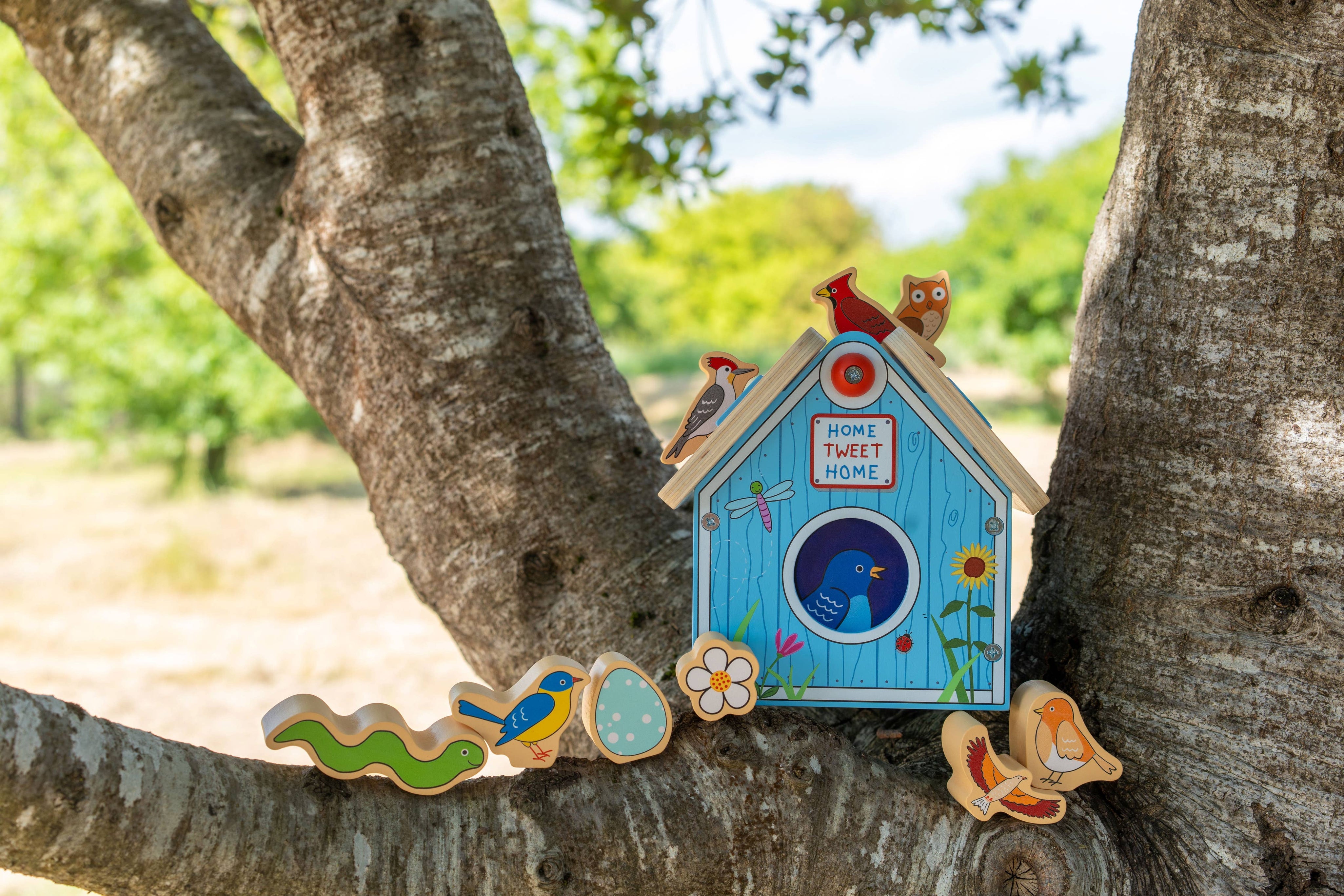 Bird House Sorter Box