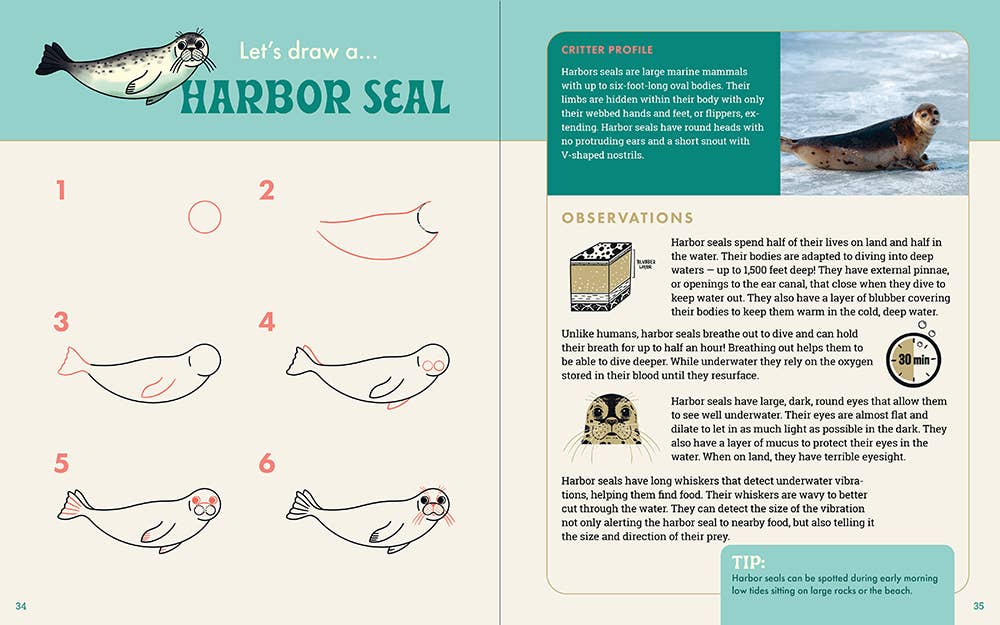 The Ocean Explorer's Drawing Guide For Kids