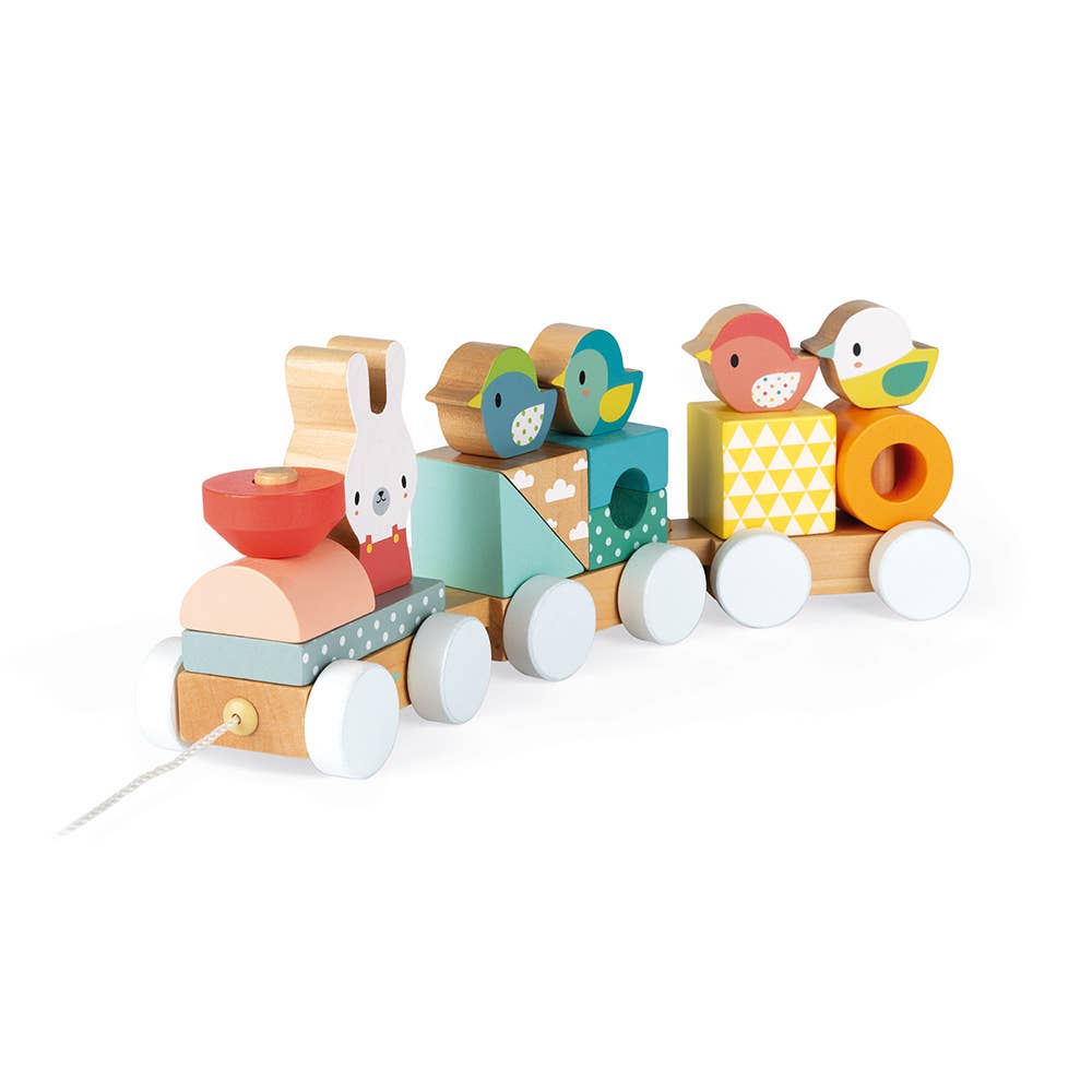 A Pull Train Wooden Toy