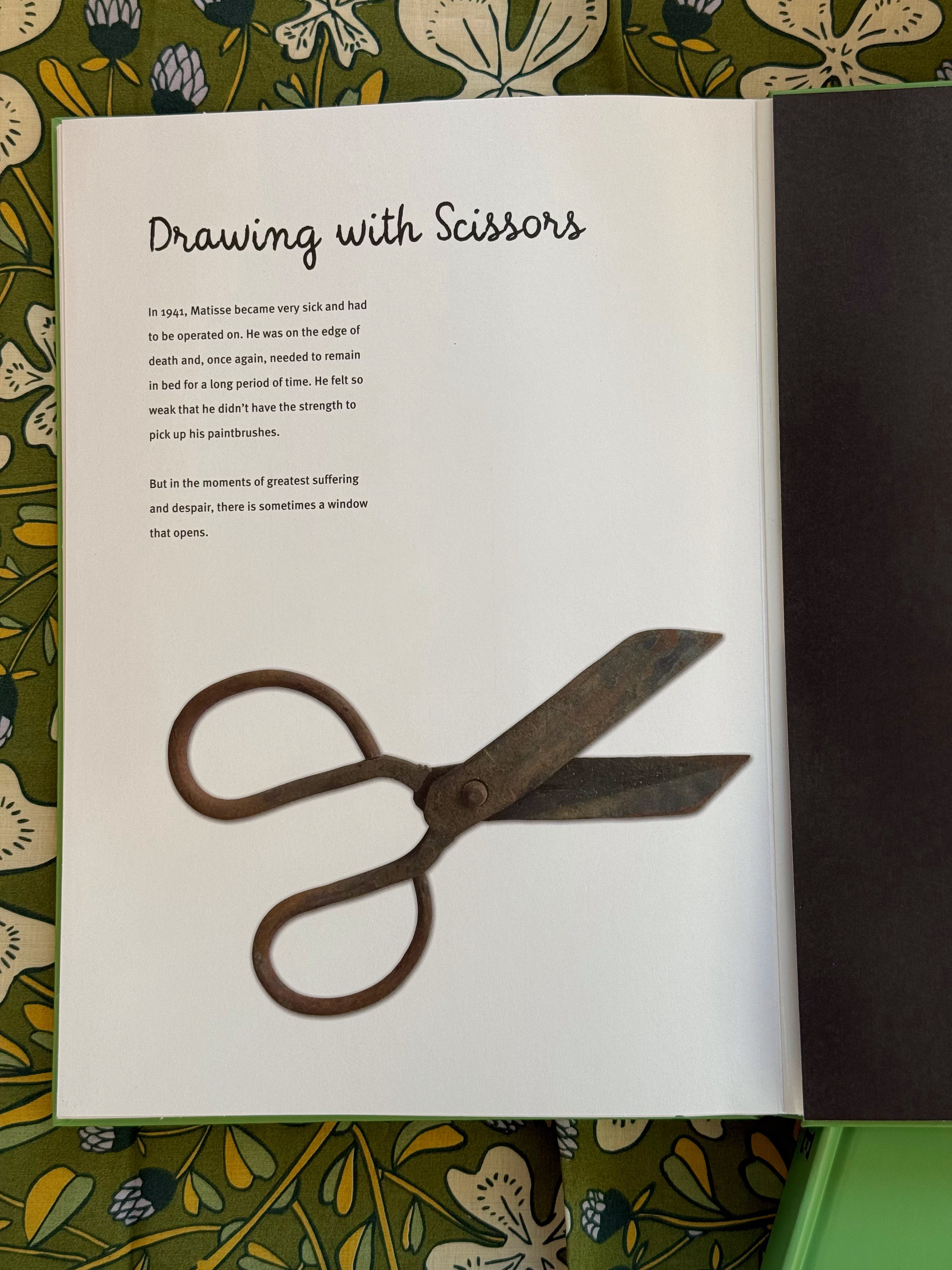 Meet the Artist | Henri Matisse