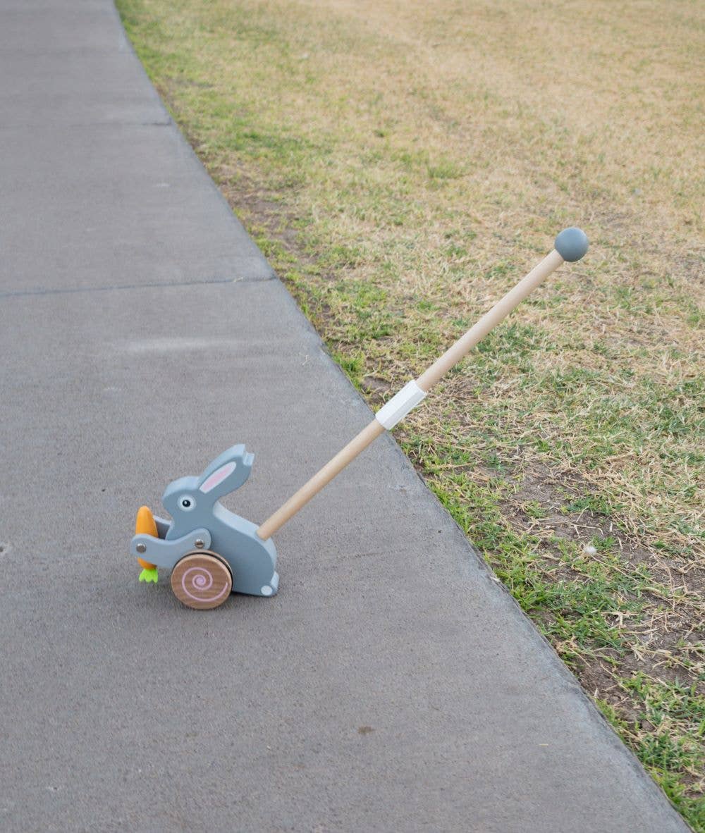 Bunny Roll-along Push Toy