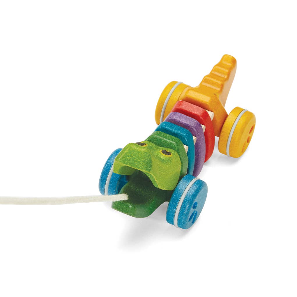 Rainbow Alligator - Eco Friendly Toy