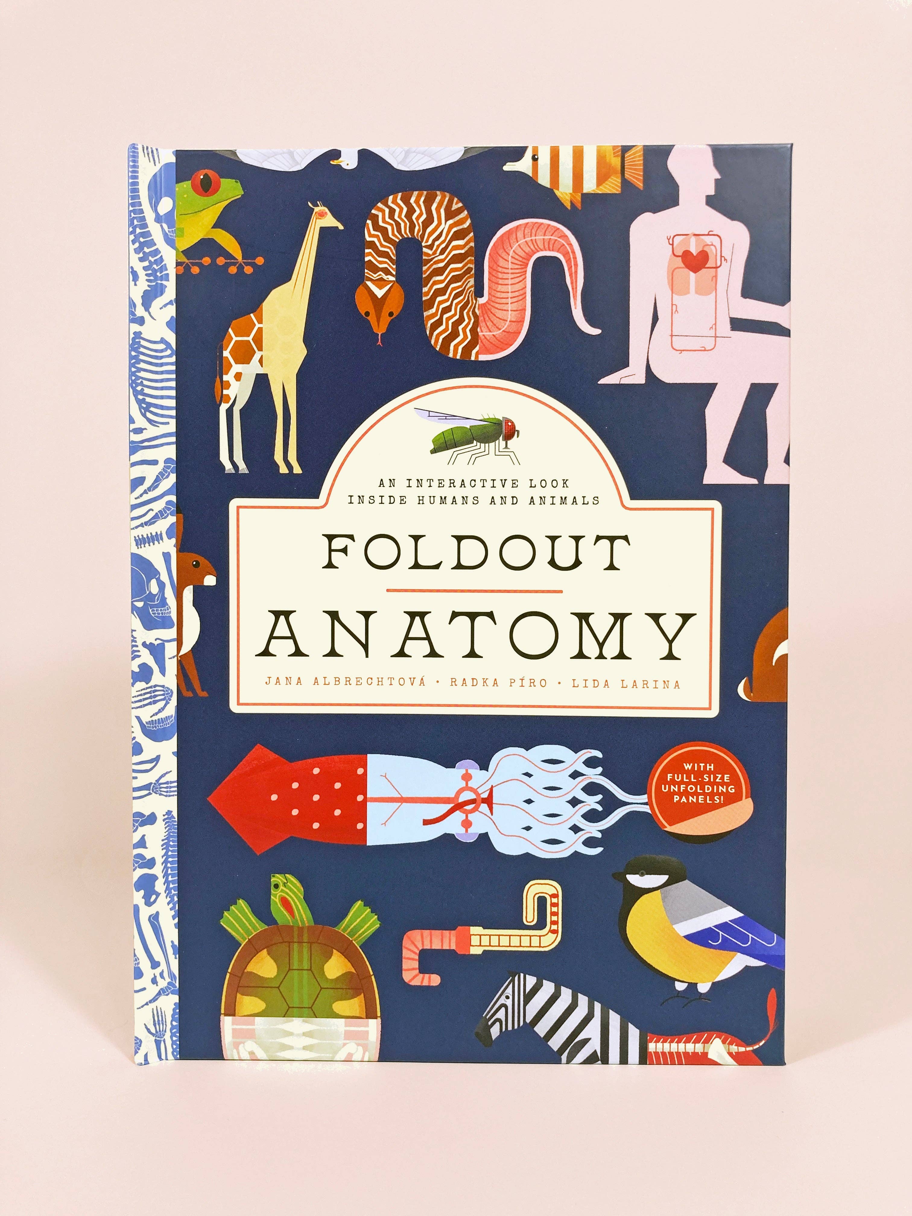 Foldout Anatomy (Interactive Children's Book)