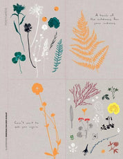 Paper Book for Nature Lovers