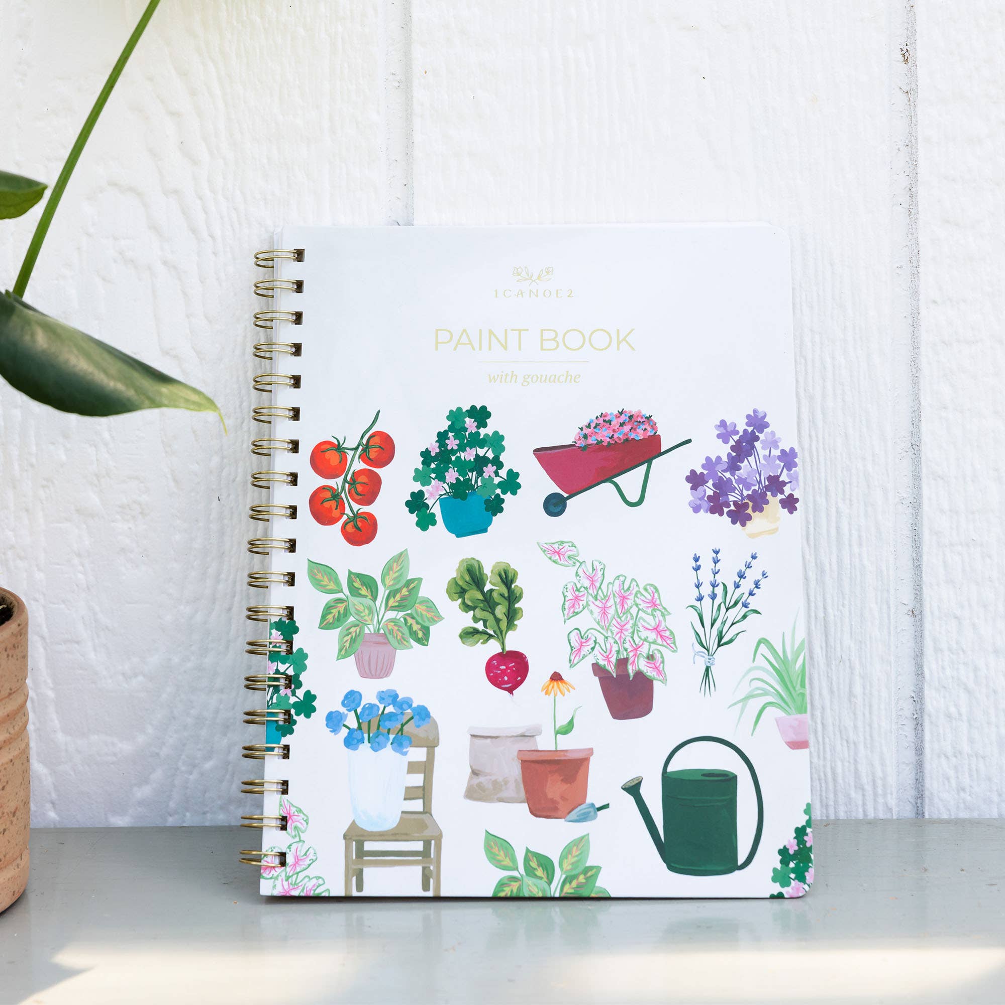 Houseplants Learn-To-Paint Gouache Paint Book