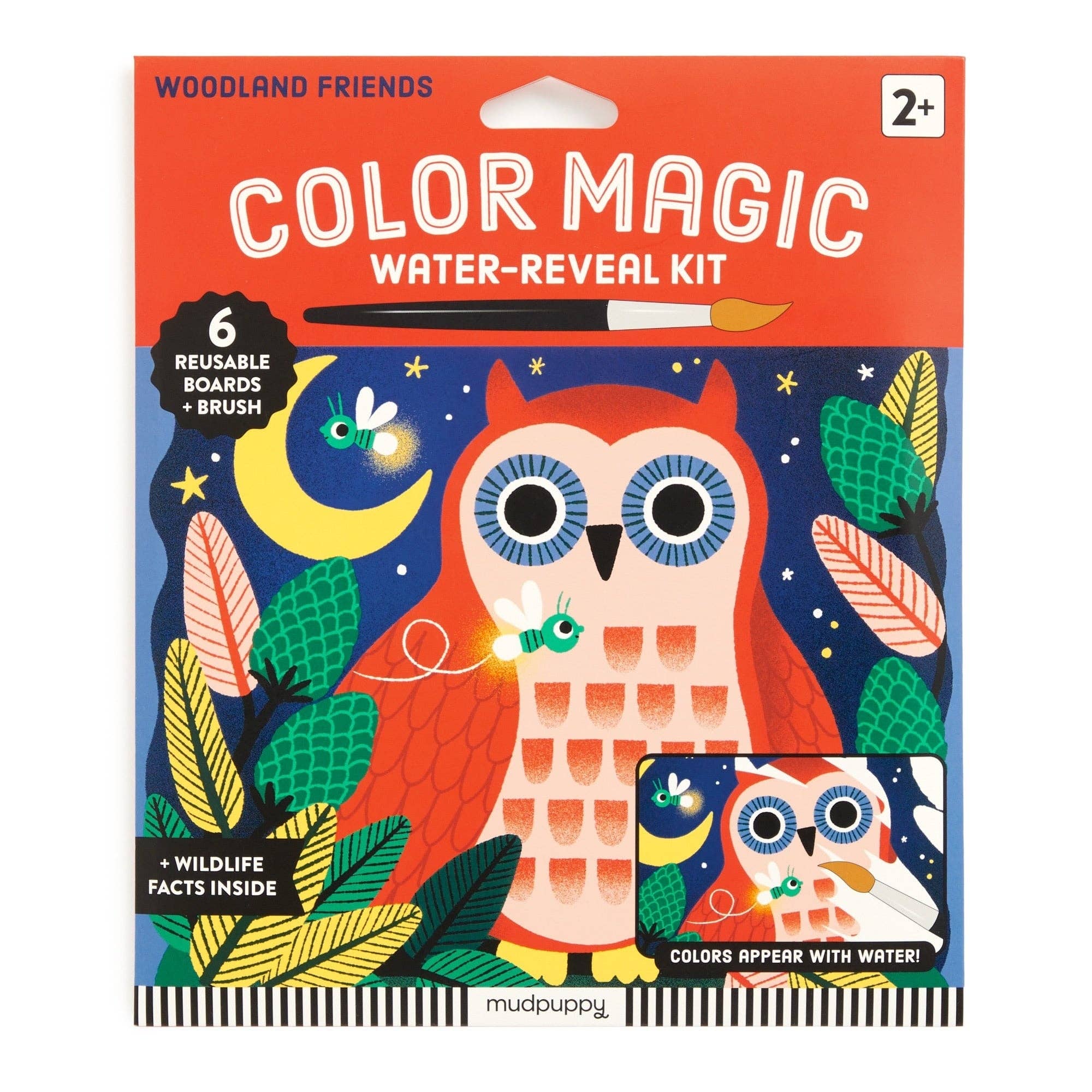 Woodland Friends Color Magic Water-reveal Kit