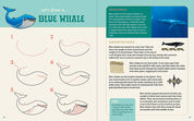 The Ocean Explorer's Drawing Guide For Kids