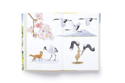 Around the World in 80 Birds