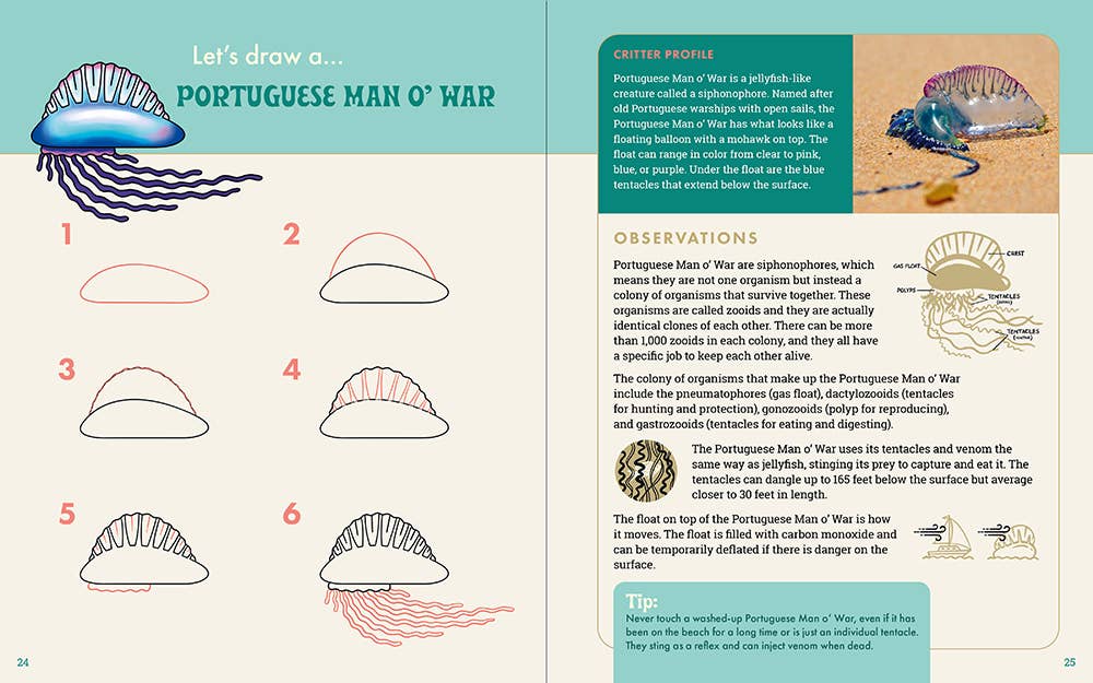 The Ocean Explorer's Drawing Guide For Kids