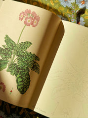 John Derian Colouring Book: Flowers