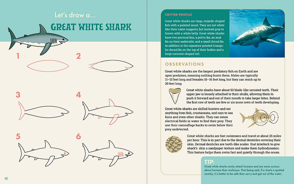 The Ocean Explorer's Drawing Guide For Kids