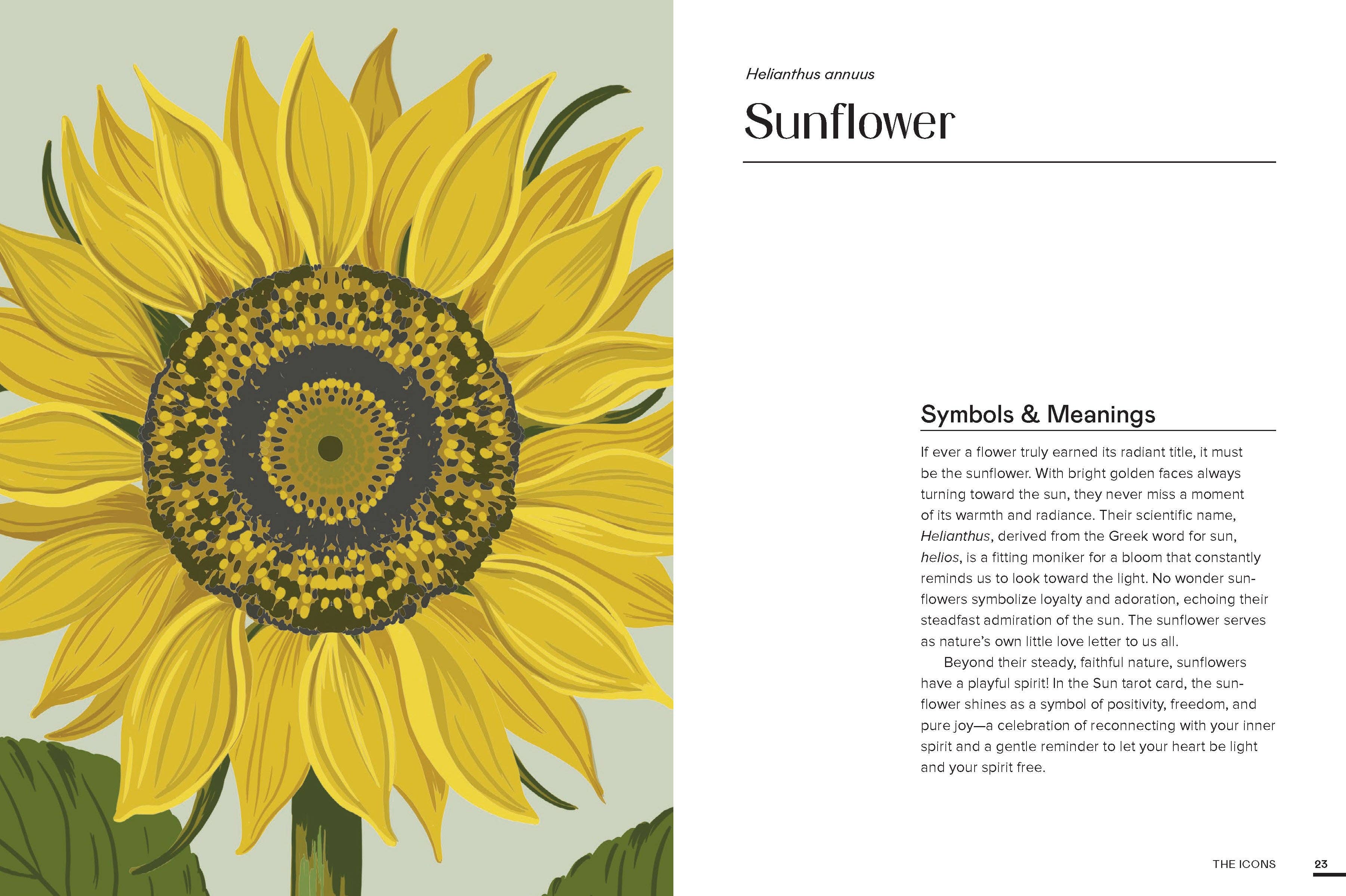 Floraphile's Almanac: An Illustrated Miscellany