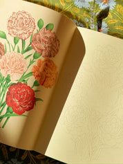 John Derian Colouring Book: Flowers