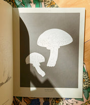 Coloready Mushrooms