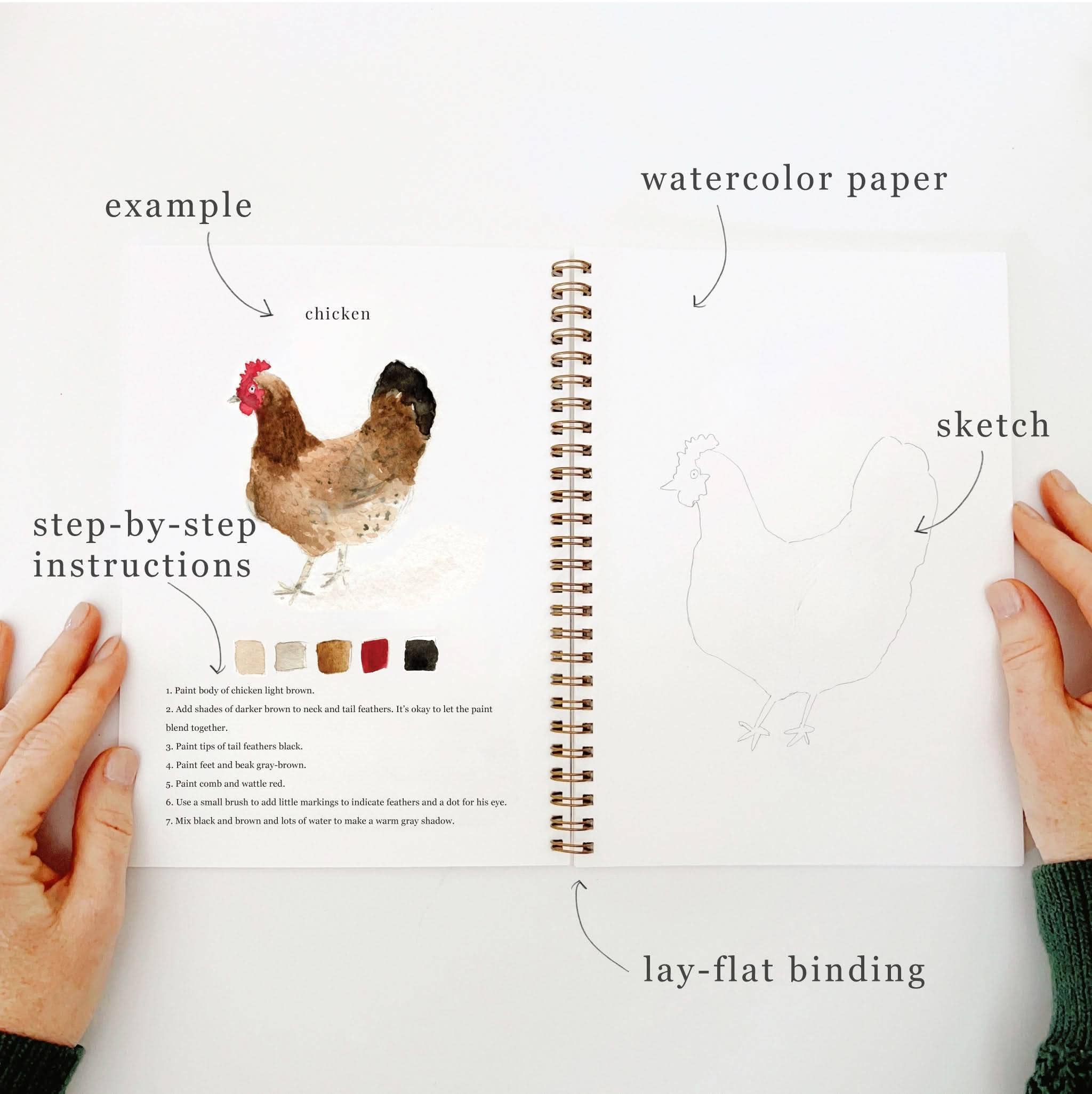 Animals | Watercolor Workbook