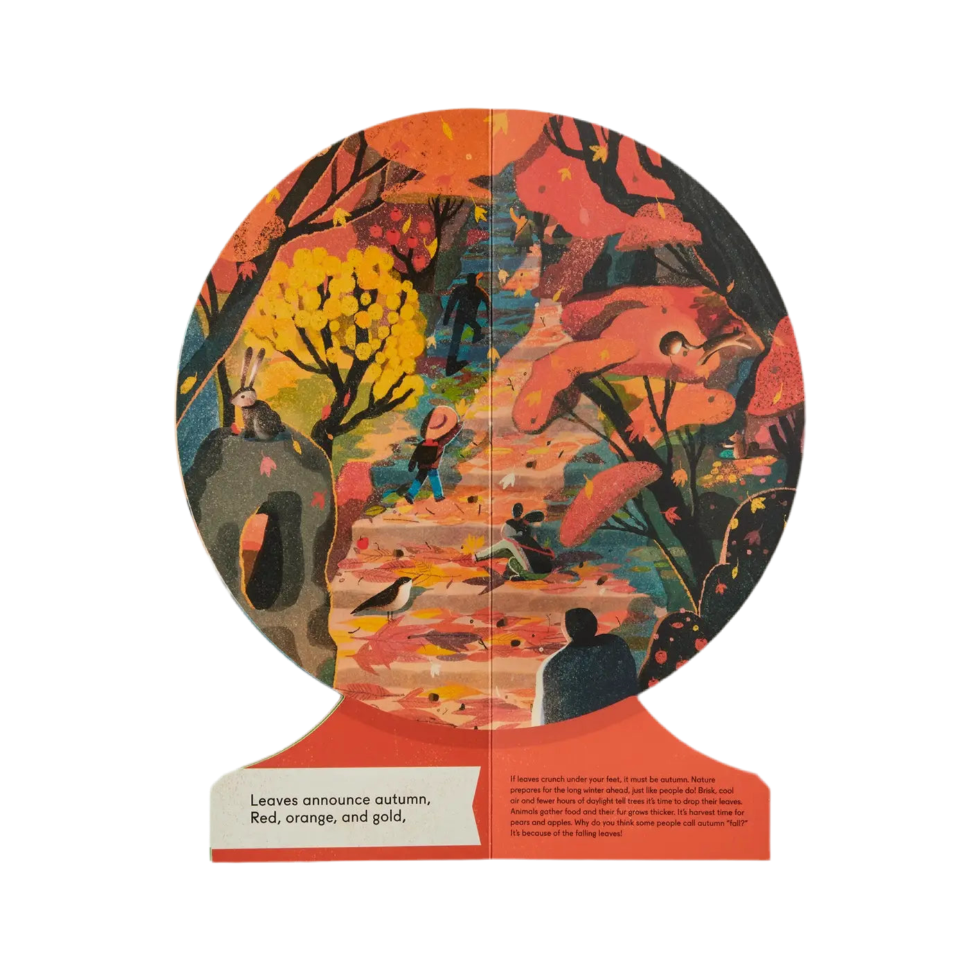 Our Seasons: The World In Winter, Spring, Summer, And Autumn