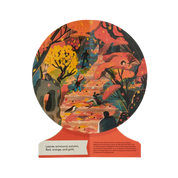 Our Seasons: The World In Winter, Spring, Summer, And Autumn