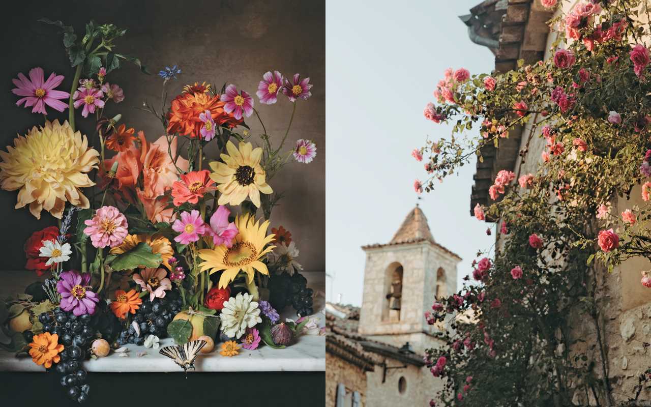 Flowers of Provence by Jamie Beck