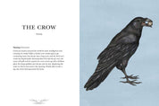 Ornithography by Jessica  Roux