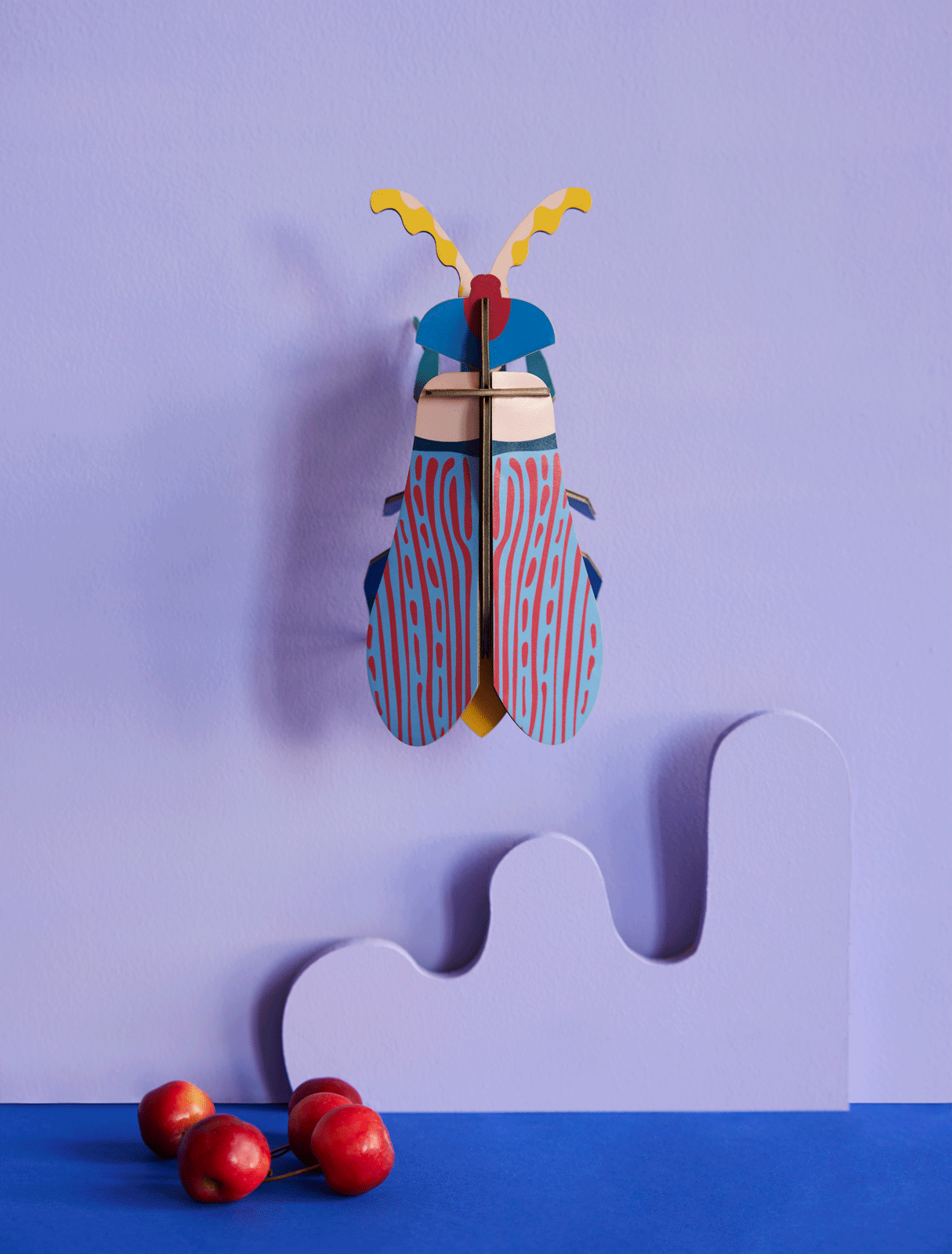 Striped Wing Beetle 3D Wall Art Kit