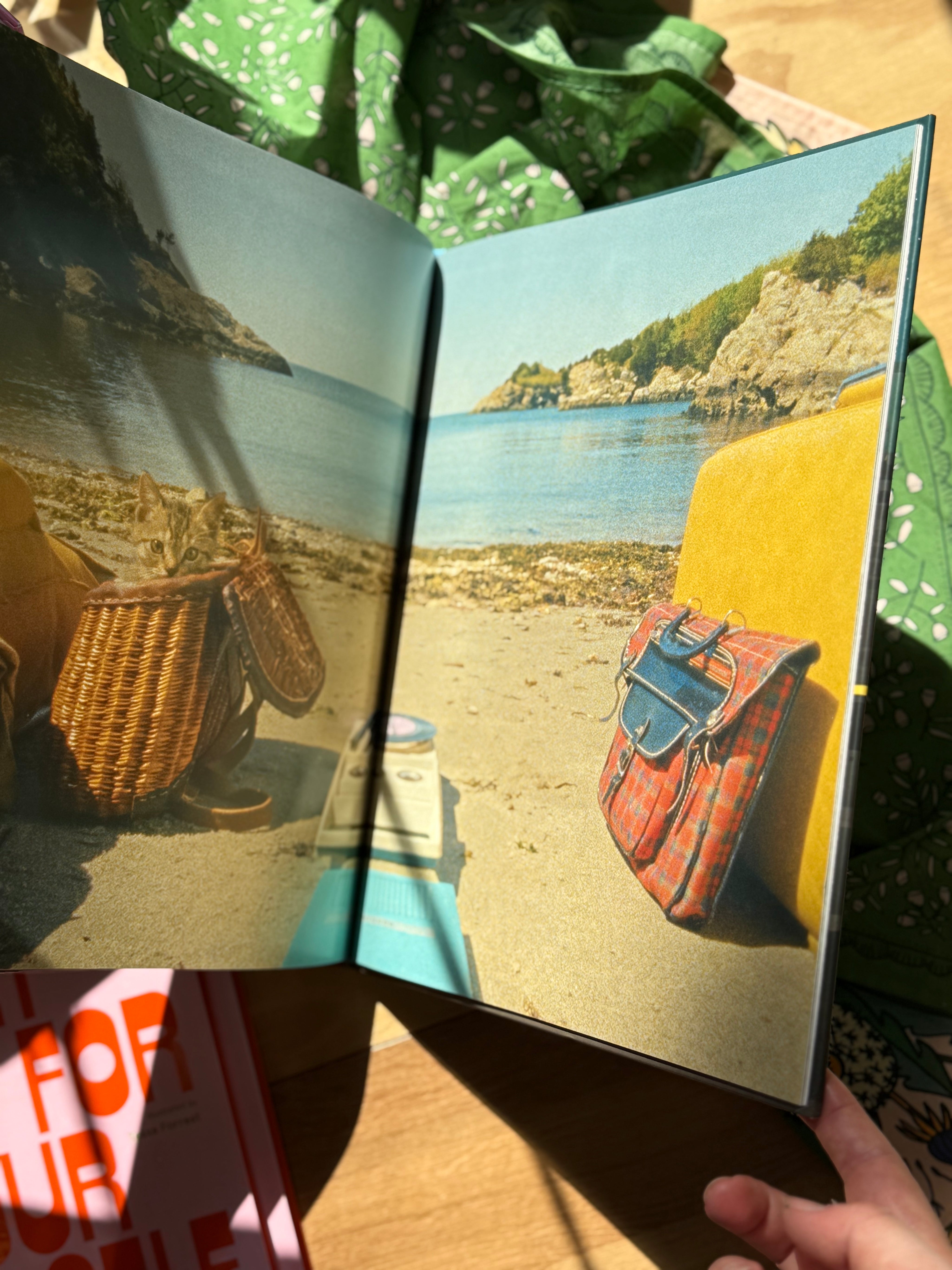 The Wes Anderson Collection