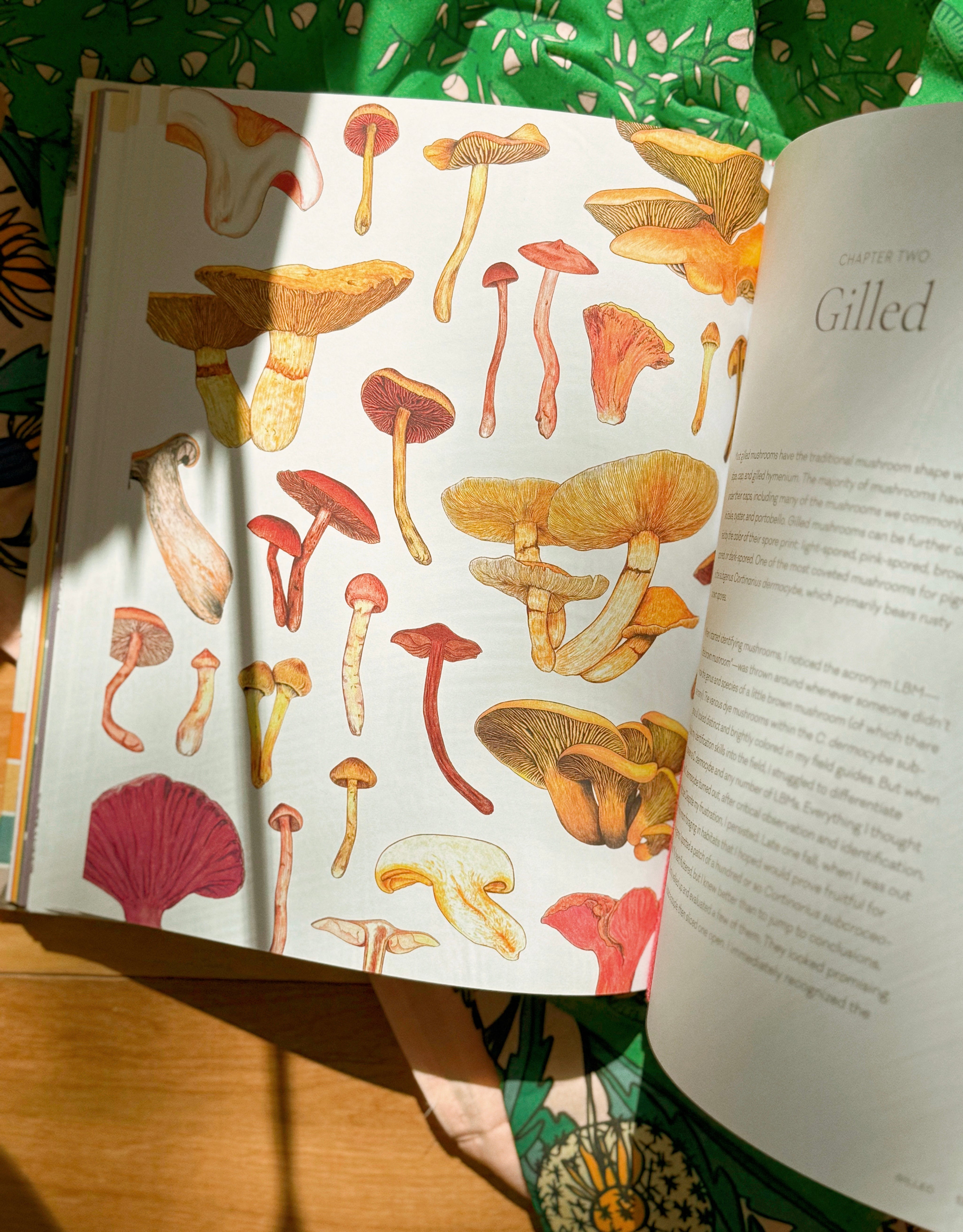Mushroom Color Atlas
