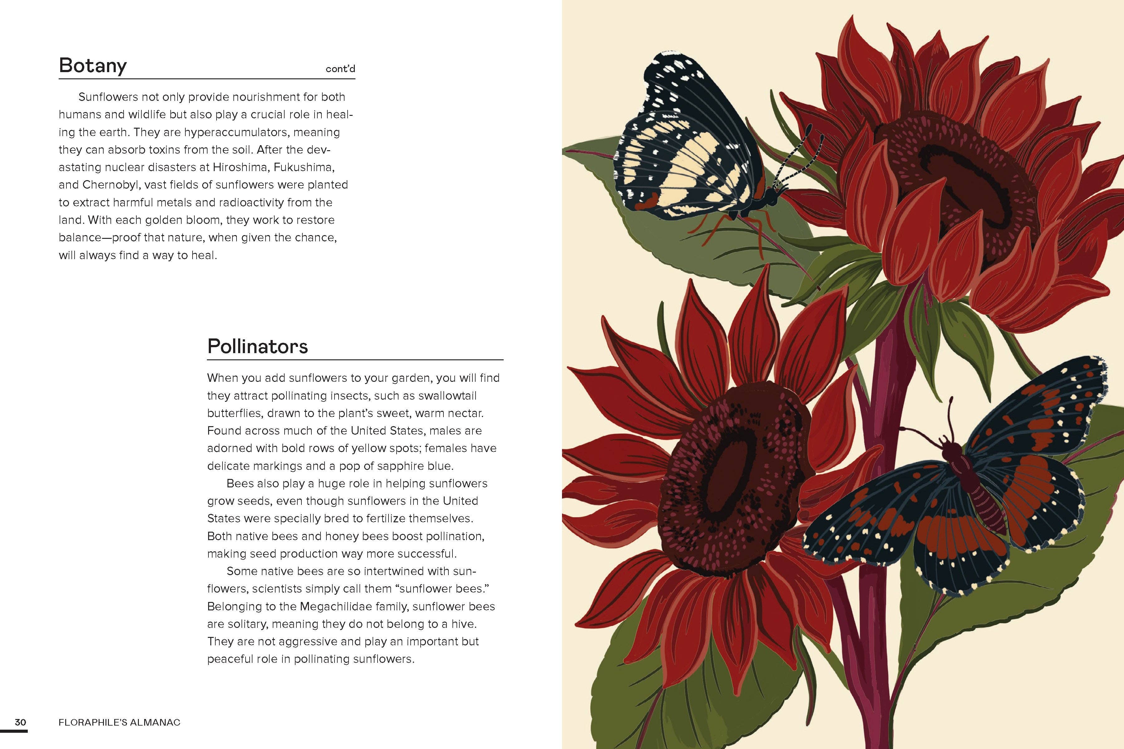 Floraphile's Almanac: An Illustrated Miscellany