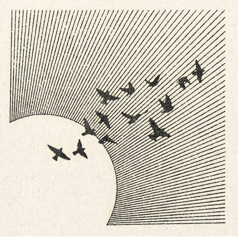 Mid Air Print 11" x 11"