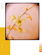 Paper Book for Nature Lovers