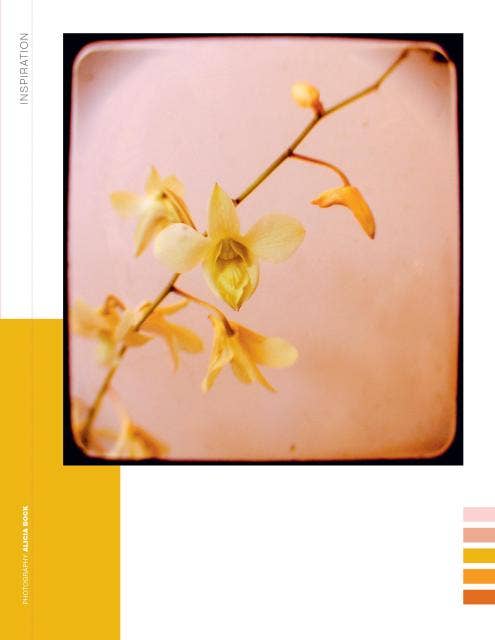 Paper Book for Nature Lovers