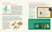 The Dinosaur Explorer's Drawing Guide For Kids