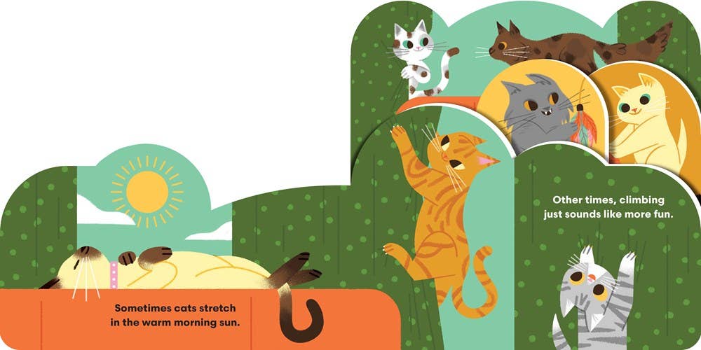 Some Cats Board Book