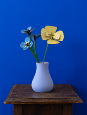 Forget-Me-Not | DIY 3D Small Everlasting Flower Craft Kit