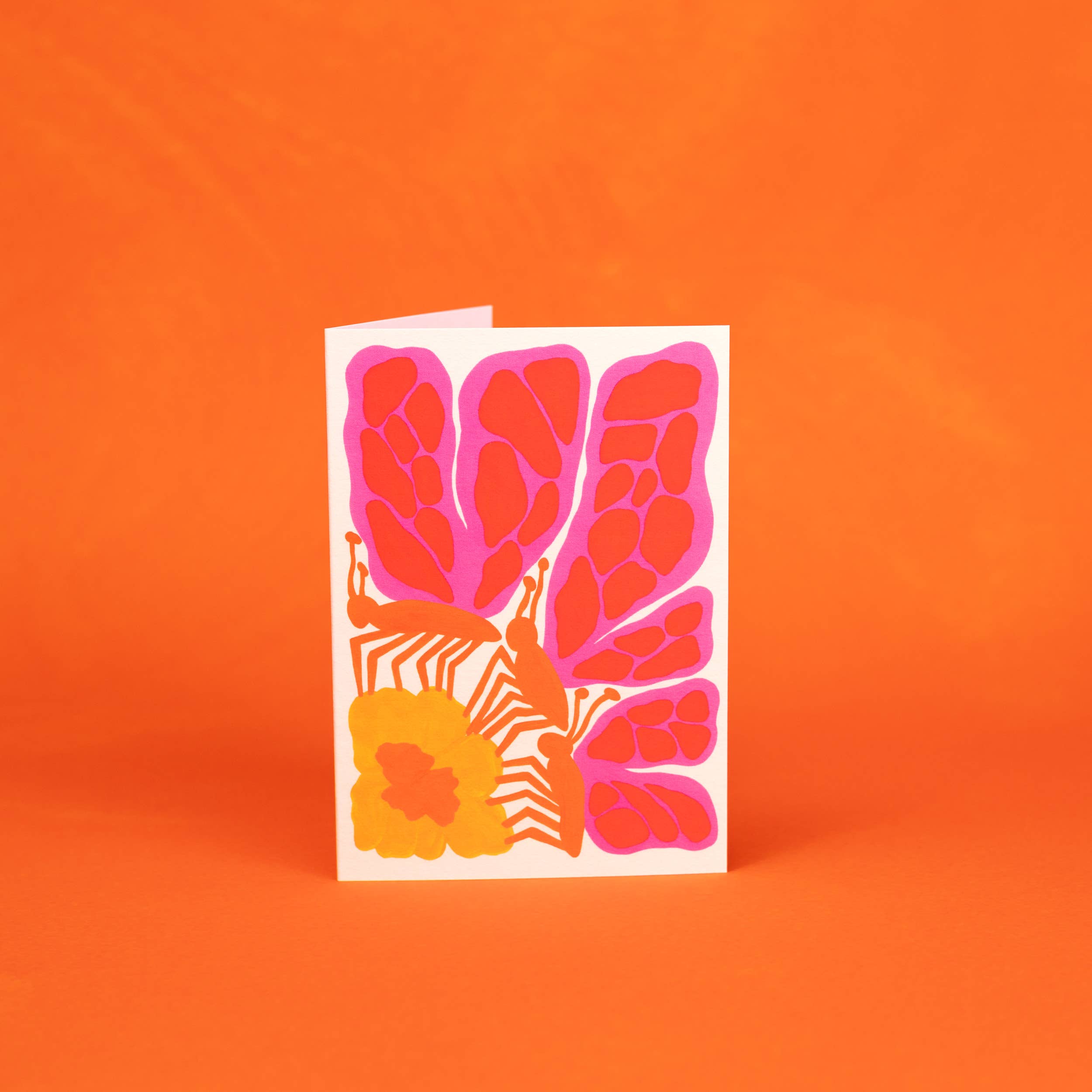 Butterflies of the Amazon | Greeting Card