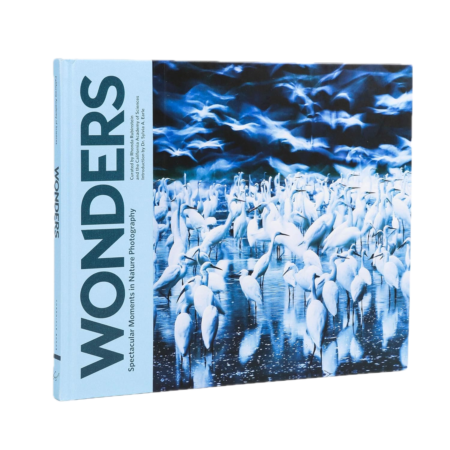 81EoftNTrnL._SL1500.png