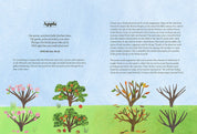 Tree Lore