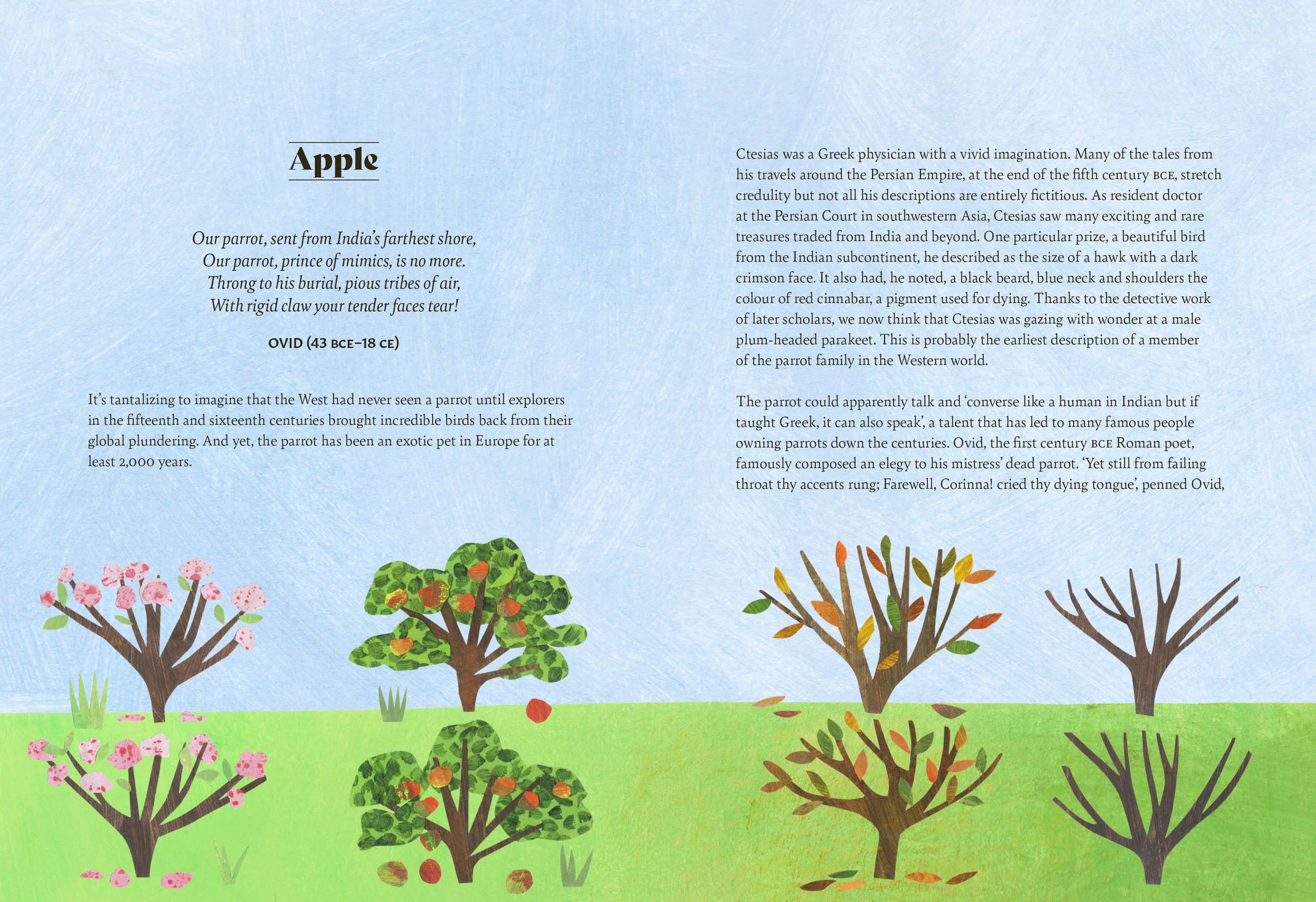 Tree Lore