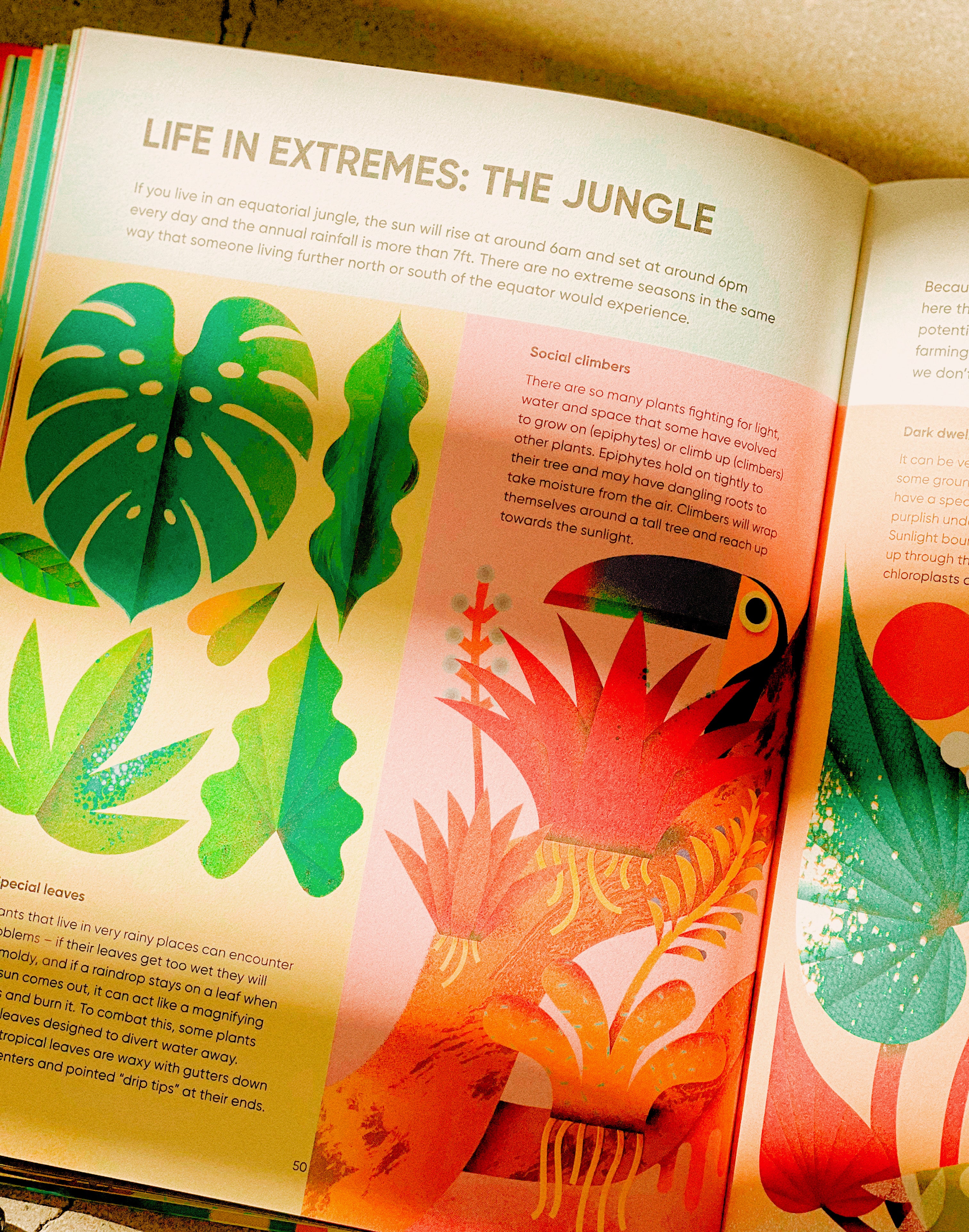 I Ate Sunshine for Breakfast