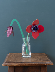 Red Anemone | DIY 3D Small Everlasting Flower Craft Kit