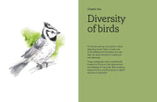 Birds in Watercolour - A Beginner's Guide