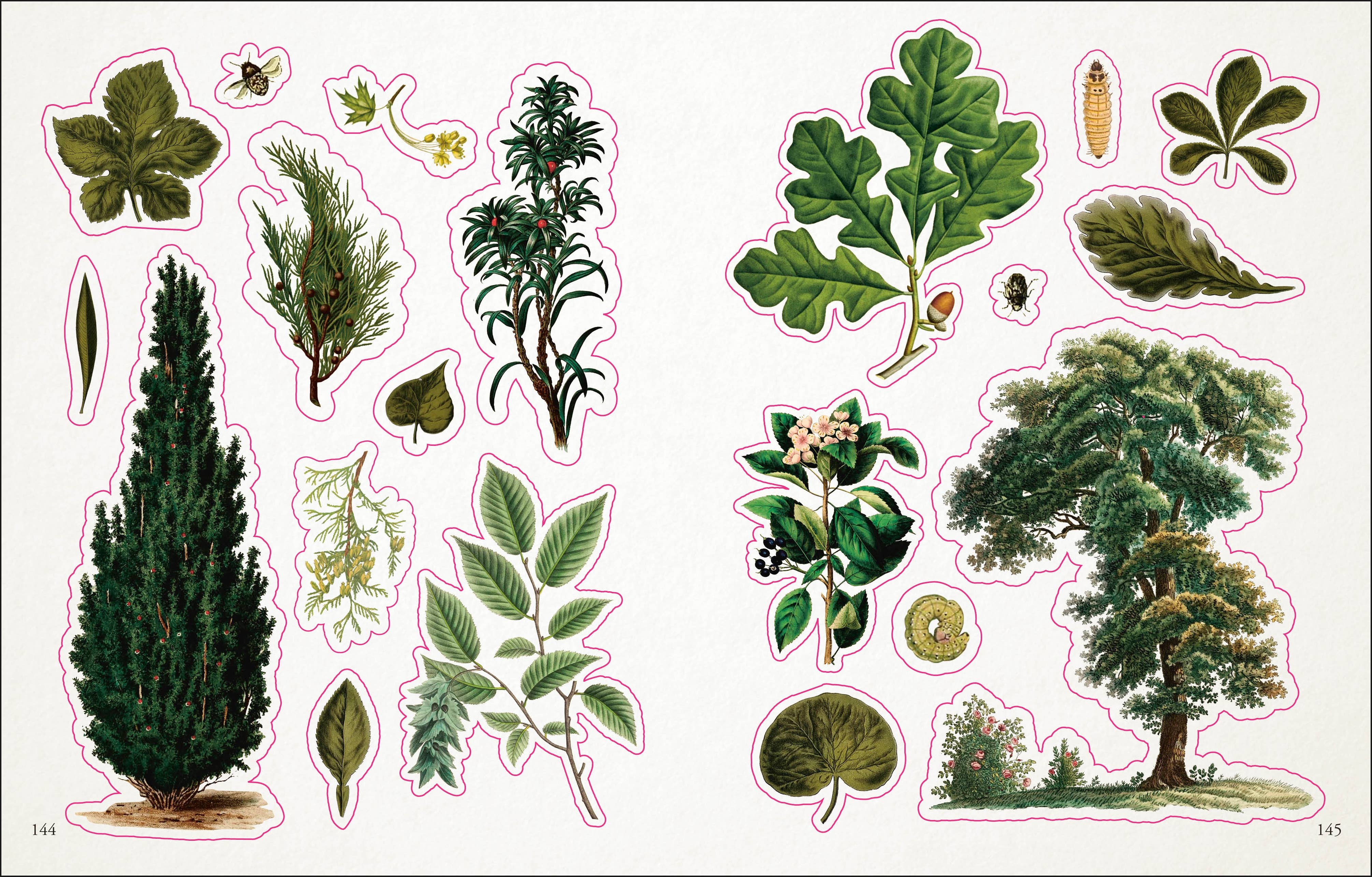 Botanist's Sticker Anthology