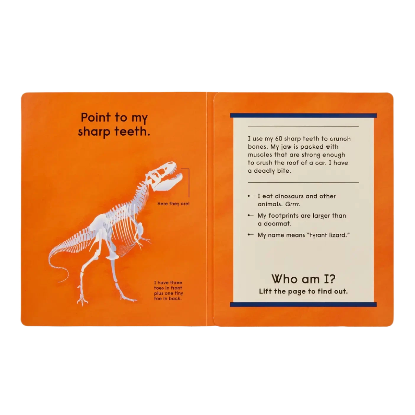 Who's That Dinosaur?