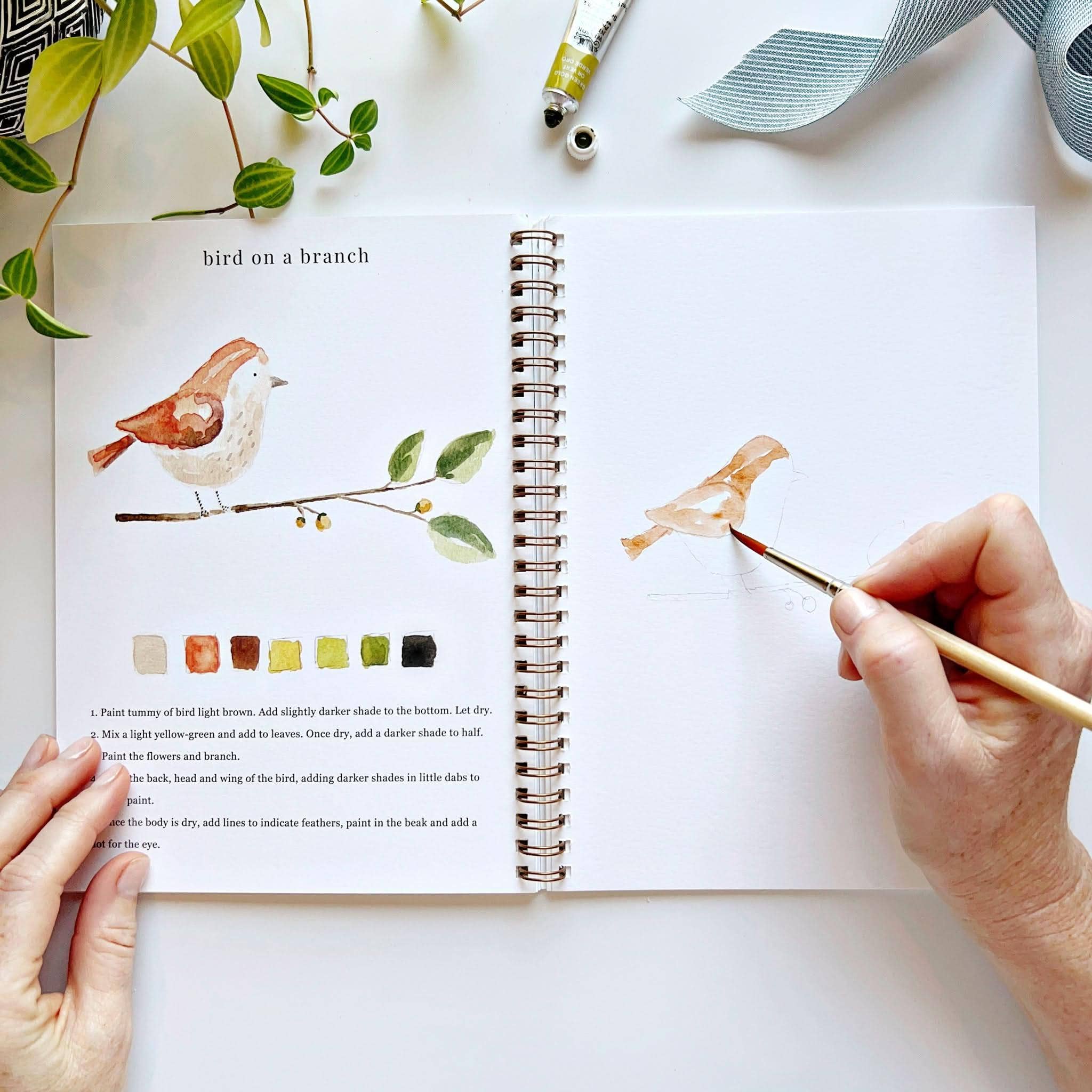 Animals | Watercolor Workbook