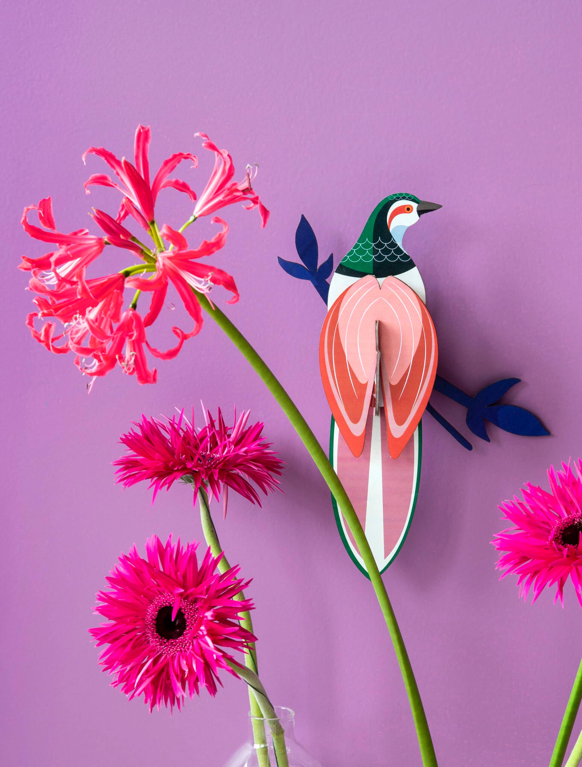 Rani Paradise Bird 3D DIY Wall Art