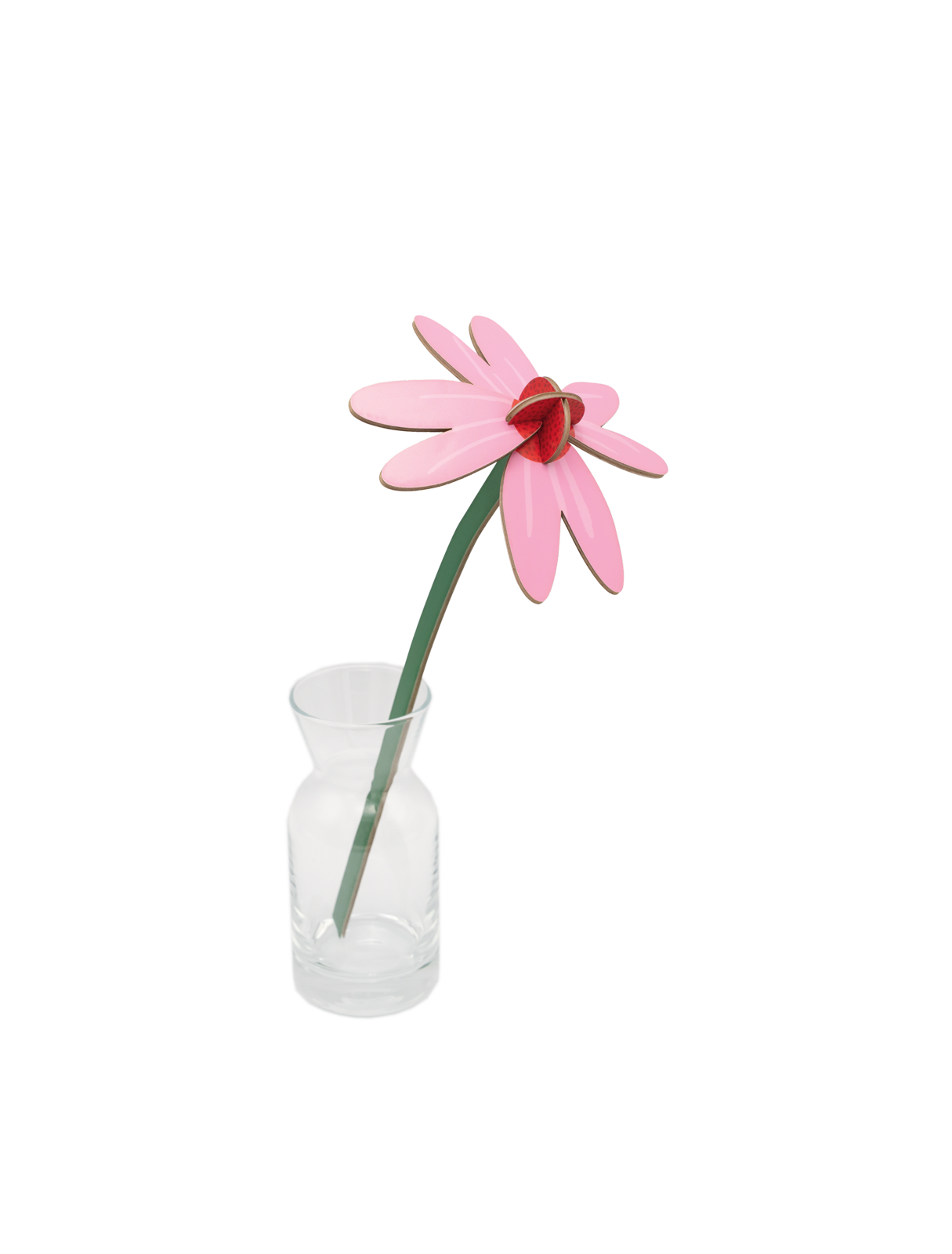 Pink Coneflower | 3D Small Everlasting Flower Craft Kit
