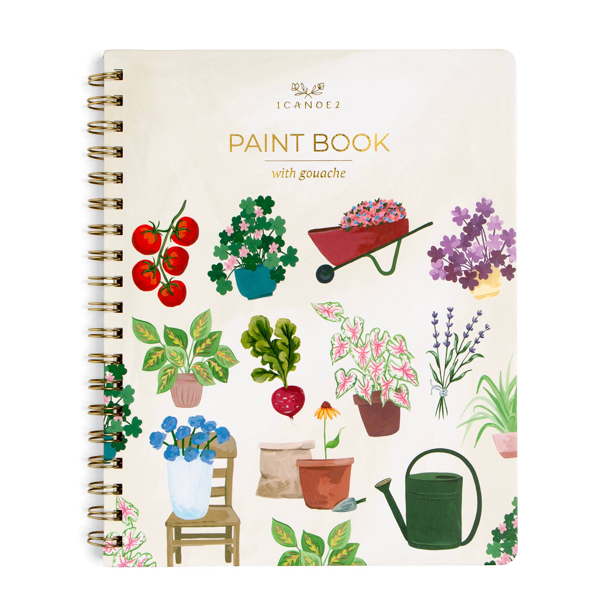Houseplants Learn-To-Paint Gouache Paint Book